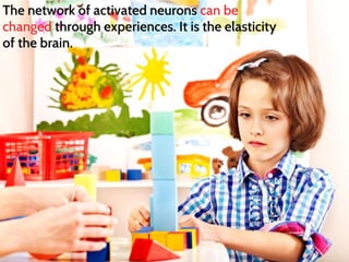 The network of activated neurons can be
changed through experiences. It is the elasticity
of the brain.
 