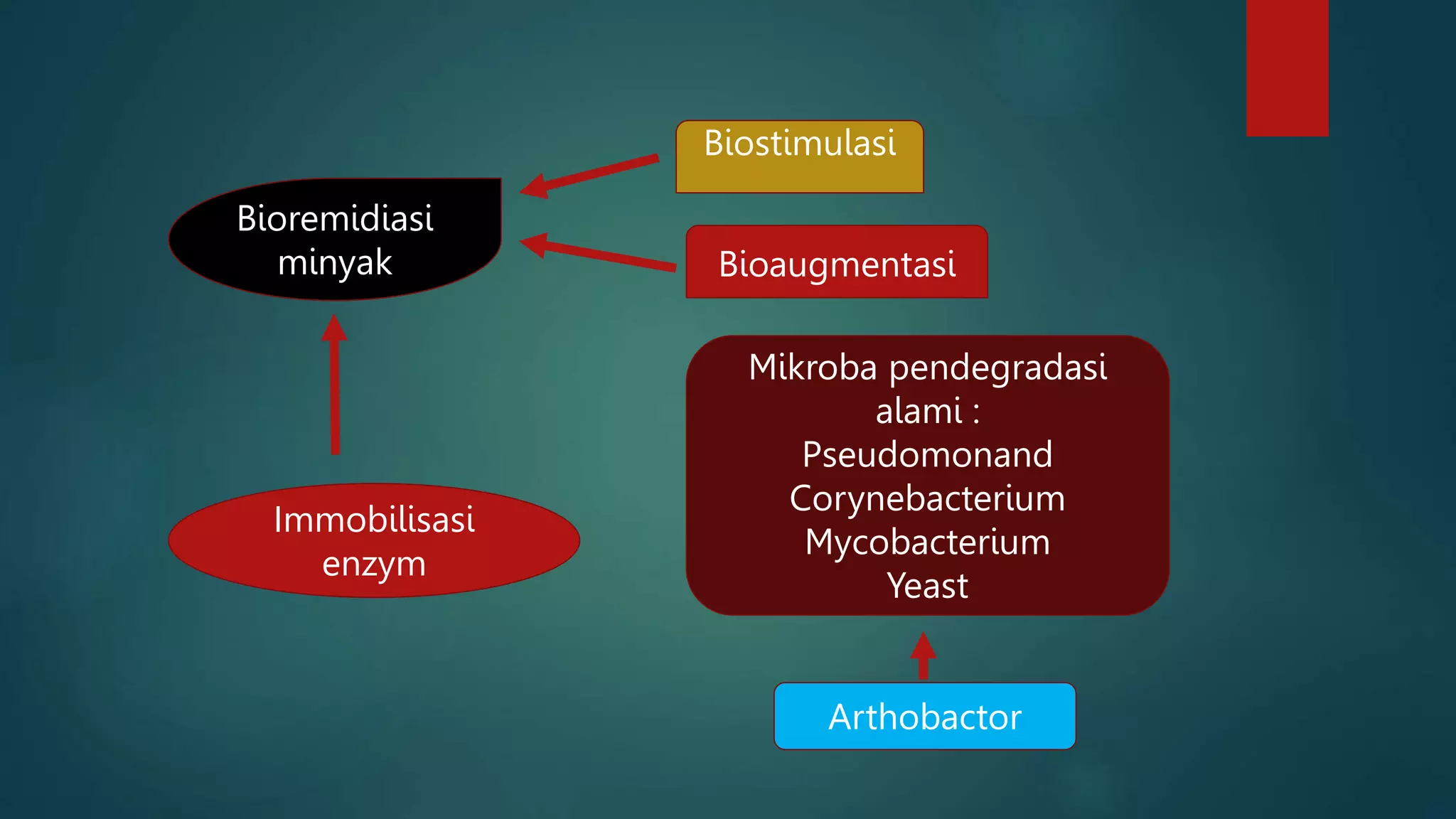 Peranan_mikroba_dalam_pengelolaan_Lingkungan.pptx