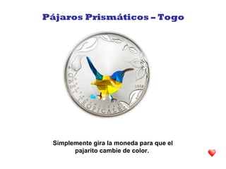 Simplemente gira la moneda para que el
pajarito cambie de color.
Pájaros Prismáticos – Togo
 