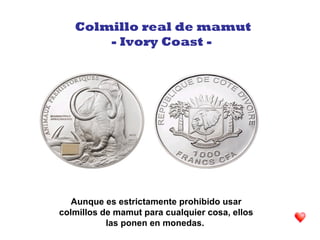 Aunque es estrictamente prohibido usar
colmillos de mamut para cualquier cosa, ellos
las ponen en monedas.
Colmillo real de mamut
- Ivory Coast -
 
