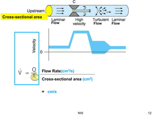 Flow Rate(cm3/s)
Cross-sectional area (cm2)
= cm/s
Flow Flow Flow
Cross-sectional area
NW 12
 