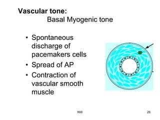 Vascular tone:
Basal Myogenic tone
•  Spontaneous
discharge of
pacemakers cells
•  Spread of AP
•  Contraction of
vascular smooth
muscle
NW 26
 