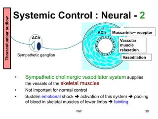 Systemic Control : Neural - 2
•  Sympathetic cholinergic vasodilator system supplies
the vessels of the skeletal muscles
•  Not important for normal control
•  Sudden emotional shock è activation of this system è pooling
of blood in skeletal muscles of lower limbs è fainting
ACh
ACh Muscarinic receptor
Vascular
muscle
relaxation
Vasodilation
Sympathetic ganglion
Thoracolumbaroutflow
NW 30
 