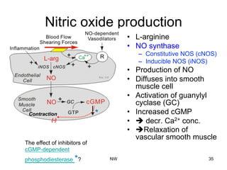 Nitric oxide production
•  L-arginine
•  NO synthase
–  Constitutive NOS (cNOS)
–  Inducible NOS (iNOS)
•  Production of NO
•  Diffuses into smooth
muscle cell
•  Activation of guanylyl
cyclase (GC)
•  Increased cGMP
•  è decr. Ca2+ conc.
•  èRelaxation of
vascular smooth muscle
The effect of inhibitors of
cGMP-dependent
phosphodiesterase *?
*Contraction
(-)
NW 35
 