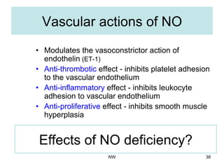 Vascular actions of NO
•  Modulates the vasoconstrictor action of
endothelin (ET-1)
•  Anti-thrombotic effect - inhibits platelet adhesion
to the vascular endothelium
•  Anti-inflammatory effect - inhibits leukocyte
adhesion to vascular endothelium
•  Anti-proliferative effect - inhibits smooth muscle
hyperplasia
Effects of NO deficiency?
NW 38
 