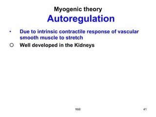 Myogenic theory
Autoregulation
•  Due to intrinsic contractile response of vascular
smooth muscle to stretch
¡  Well developed in the Kidneys
NW 41
 