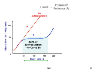 Zone of
autoregulation
(for Curve B)
No
autoregulation
A
B
NW 43
 