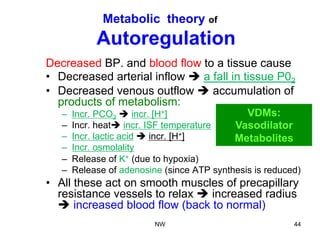 Metabolic theory of
Autoregulation
Decreased BP. and blood flow to a tissue cause
•  Decreased arterial inflow è a fall in tissue P02
•  Decreased venous outflow è accumulation of
products of metabolism:
–  Incr. PCO2 è incr. [H+]
–  Incr. heatè incr. ISF temperature
–  Incr. lactic acid è incr. [H+]
–  Incr. osmolality
–  Release of K+ (due to hypoxia)
–  Release of adenosine (since ATP synthesis is reduced)
•  All these act on smooth muscles of precapillary
resistance vessels to relax è increased radius
è increased blood flow (back to normal)
VDMs:
Vasodilator
Metabolites
NW 44
 