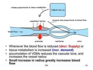•  Whenever the blood flow is reduced (decr. Supply) or
•  tissue metabolism is increased (incr. demand)
•  accumulation of VDMs reduces the vascular tone, and
increases the vessel radius
•  Small increase in radius greatly increases blood
flow
NW 45
 