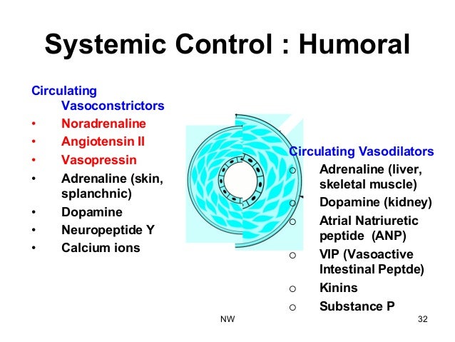 vasoconstrictors