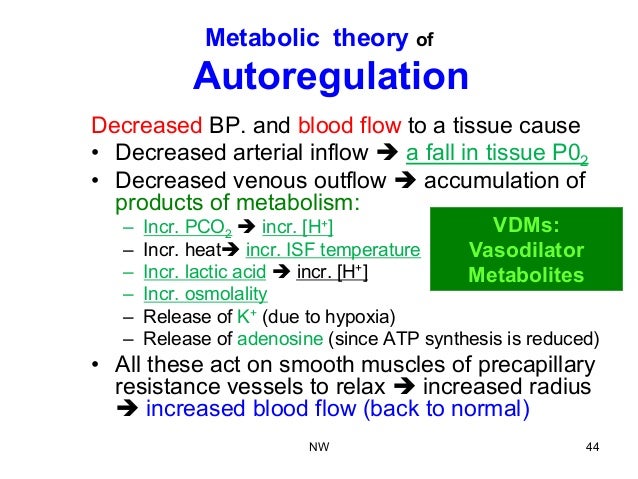 Vascular tone and tissue perfusion