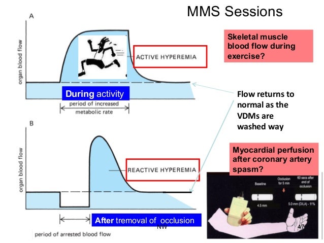 What Causes Reactive Hyperemia To Increase Tissue Perfusion? Vascular tone and tissue perfusion