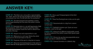 Vet Tech Prep Eye Challenge