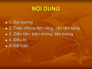 NỘI DUNG
 1. Đại cương
 2. Triệu chứng lâm sàng, cận lâm sàng
 3. Diễn tiến, biến chứng, tiên lượng
 4. Điều trị
 5. Kết luận
 