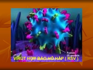 VIRÚT HỢP BÀO HÔ HẤP ( RSV )
 