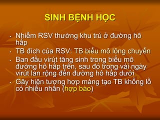 SINH BỆNH HỌC
• Nhiễm RSV thường khu trú ở đường hô
hấp
• TB đích của RSV: TB biểu mô lông chuyển
• Ban đầu virút tăng sinh trong biểu mô
đường hô hấp trên, sau đó trong vài ngày
virút lan rộng đến đường hô hấp dưới
• Gây hiện tượng hợp màng tạo TB khổng lồ
có nhiều nhân (hợp bào)
 
