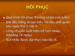 HỒI PHỤC
 Quá trình hổi phục thường chậm (vài tuần):
 Bắt đầu bằng tái tạo biểu mô tiểu phế quản:
sau ngày thứ 3 hay 4
 Lông chuyển xuất hiện trễ hơn nhiều
(khoảng 15 ngày).
 Nút nhầy được đại thực bào lấy đi.
 