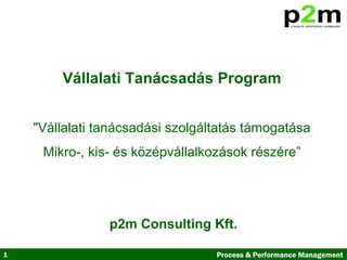 1 Process & Performance Management
Vállalati Tanácsadás Program
"Vállalati tanácsadási szolgáltatás támogatása
Mikro-, kis- és középvállalkozások részére”
p2m Consulting Kft.
 