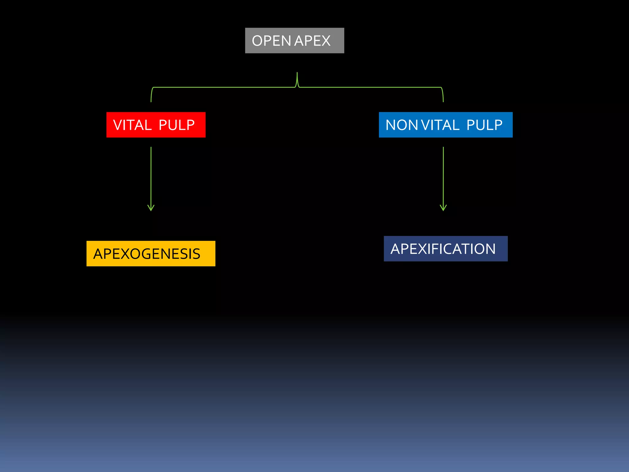 OPEN APEX

VITAL PULP

APEXOGENESIS

NON VITAL PULP

APEXIFICATION

 