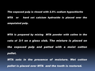 The exposed pulp is rinsed with 2.5% sodium hypochlorite
MTA

or

hard set calcium hydroxide is placed over the

amputated pulp.

MTA is prepared by mixing MTA powder with saline in the
ratio of 3:1 on a glass slab. The mixture is placed on

the exposed pulp and patted with a moist cotton
pellet.
MTA sets in the presence of moisture. Wet cotton
pellet is placed over MTA and the tooth is restored.

 