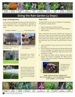 Asclepias     Asclepias     Aster novae‐         Aster              Astilbe       Athyrium                            Baptisia        Betula         Boltonia      Bouteloua 
     incarnata     tuberosa        angliae          umbellatus            spp.        filix‐femina                         australis       nigra         asteroides    curtipendula 


                                 Sizing the Rain Garden (4 Steps) 
 Step 1: Drainage Area                                                                Step 2: Soil  
                                                                                       

 To calculate the drainage area (the area that will drain to                          To determine if the soil type is suitable for a rain garden, 
 the  rain  garden)  from  a  roof,  parking  lot,  sidewalk,  or                     first perform a simple pit test: 
 other  impervious  surface,  multiply  the  length  by  the                           
 width.                                                                               1.  Dig a 6” deep hole and fill with water. 
                                                                                      2.  Choose a new location if the water is still standing 
     (Length) x (Width) = __________ ft2 (drainage area)                                   after 24 hours. 
                                                                                       
                                                                                      After  conducting  the  pit  test,  identify  the  soil  type  as 
                                                                                      sand, silt, or clay. Sandy soils have the fastest infiltration; 
                                                                                      clay soils have the slowest. Since clay soils take longer to 
                                                                                      drain  water,  they  require  a  larger  rain  garden  area.  You 
                                                                                      can  determine  your  soil  type  by  performing  the  ribbon 
                                                                                      test: 
                                                                                       
                                                                                      1.  Grab  a  handful  of  moist  soil  and  roll  it  into  a  ball  in 
Add together the drainage area               Combine your roof runoff                      your hand. 
of multiple roofs.                           with a neighbors’.                       2.  Place the ball of soil between your thumb and the side 
                                                                                           of  your  forefinger  and  gently  push  the  soil  forward 
                                                                                           with your thumb, squeezing it upwards to form a rib‐
                                           
                                                                                           bon about ¼” thick. 
                                          Rain  gardens  can  capture 
                                          stormwater  from  a  drip‐                  3.  Try  to  keep  the  ribbon  uniform  thickness  and  width. 
                                          line  just  as  well  as  from  a                Repeat  the  motion  to  lengthen  the  ribbon  until  it 
                                          gutter system.                                   breaks under its own weight.  Measure the ribbon and 
                                                                                           evaluate below: 
                                                                                                                                  
                                                                                          North Dakota State University 




                                                                                                                                                          The ribbon formed 
                                                                                                                                                          here depicts a clay 
                                          Estimating the stormwater                                                                                       soil because it is 
                                          that  runs  off  streets,  side‐                                                                                greater than 1.5” 
                                                                                          Courtesy of  




                                          walks, and parking lots can                                                                                     in length. 
                                          be  tricky.  It  is  best  to  visit 
                                          the impervious area during                                                          
                                          a  rain  event  to  clearly  see 
                                                                                                 SAND: Soil does not form a ribbon at all. 
                                          the  extent  of  the  drainage 
                                          area.  
                                                                                          SILT: A weak ribbon < 1.5” is formed before breaking. 
                                                                                                    CLAY: A ribbon > 1.5” is formed.  




Calamagrostis       Caltha        Camassia          Campanula            Carex           Carex                              Carex       Carex muskin‐      Carex        Carpinus  
  acutiflora       palustris      leichtlinii       americana            flacca      flaccosperma                           grayi         gumensis      vulpinoidea    caroliniana 
 4  The Vermont Rain Garden Manual 
 