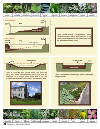 Nyssa           Onoclea              Osmunda    Osmunda              Osmunda                                                                         Ostraya      Panicum        Parthenium      Penstemon         Phlox 
 sylcatica        sensibilis         cinnamomea  claytoniana            regalis                                                                       virginiana    virgatum      integrifolium     digitalis      divaricata 


 Before Digging 




                                                                                   Adapted from Rain Gardens: A How‐to Manual for Homeowners, UWEX 
                                                                  uphill  
                                                                  stake 
 downhill                 string  
 stake 



                                                   remove dirt here                                                                                            
                                                                                                                                                               
                                                                                                                                                              Figure 2: When building a rain garden on a slope, 
                                                                                                                                                              a berm must be created to hold the water in the 
After Digging                                                     uphill                                                                                      garden. When leveling the bed, use the dirt that 
                                                                  stake 
 downhill                 string                                                                                                                              you remove to build the berm. 
 stake                                        old lawn surface                                                                                                 



               berm 
  add  
  dirt here 




                                           old lawn surface                                                                                                                            old lawn surface          edging 
           edging  


                                added compost 

      upper slope                                                                                                                                                                 added compost 


  Figure  3:  Level  bed  with  sloping  edges.  This  design  re‐
  quires more space. Only plants that can thrive in drier soil                                                                                             Figure 4: Level bed without sloping edges. Ideal design 
  conditions can be planted on the upper slope of this type                                                                                                for tight spaces. 
  of raingarden; true rain garden plants will not thrive here. 




Physocarpus  Polemonium  Poylgonatum  Polystichum  Pycnanthemum                                                                                        Quercus       Quercus        Quercus         Ratibida         Rhexia 
 opulifolius   reptans     biflorum  acrostichoides  virginianum                                                                                       bicolor       palustris       rubra          pinnata         virginica 
8  The Vermont Rain Garden Manual 
 
