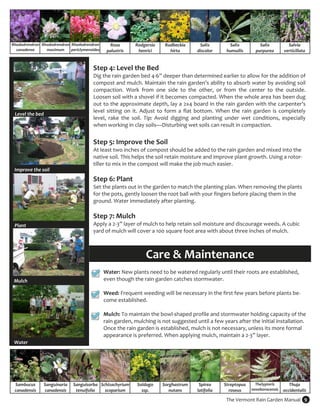 Rhododrendron  Rhododrendron  Rhododrendron        Rosa       Rodgersia     Rudbeckia      Salix         Salix          Salix         Salvia 
  canadense      maximum  periclymenoides        palustris     henrici        hirta       discolor      humuilis      purpurea      verticillata 

                                          

                                         Step 4: Level the Bed  
                                         Dig the rain garden bed 4‐6” deeper than determined earlier to allow for the addition of  
                                         compost and mulch. Maintain the rain garden’s ability to absorb water by avoiding soil 
                                         compaction.  Work  from  one  side  to  the  other,  or  from  the  center  to  the  outside. 
                                         Loosen soil with a shovel if it becomes compacted. When the whole area has been dug 
                                         out to the approximate depth, lay a 2x4 board in the rain garden with the carpenter’s 
                                         level  sitting  on  it.  Adjust  to  form  a  flat  bottom.  When  the  rain  garden  is  completely 
 Level the bed 
                                         level,  rake  the  soil.  Tip:  Avoid  digging  and  planting  under  wet  conditions,  especially 
                                         when working in clay soils—Disturbing wet soils can result in compaction. 
                                          
                                         Step 5: Improve the Soil  
                                         At least two inches of compost should be added to the rain garden and mixed into the 
                                         native soil. This helps the soil retain moisture and improve plant growth. Using a rotor‐
                                         tiller to mix in the compost will make the job much easier.  
 Improve the soil                         
                                         Step 6: Plant  
                                         Set the plants out in the garden to match the planting plan. When removing the plants 
                                         for the pots, gently loosen the root ball with your fingers before placing them in the 
                                         ground. Water immediately after planting. 
                                          
                                         Step 7: Mulch 
 Plant                                   Apply a 2‐3” layer of mulch to help retain soil moisture and discourage weeds. A cubic 
                                         yard of mulch will cover a 100 square foot area with about three inches of mulch.  



                                                                   Care & Maintenance 
                                                Water: New plants need to be watered regularly until their roots are established, 
 Mulch                                          even though the rain garden catches stormwater.  
                                                 
                                                Weed: Frequent weeding will be necessary in the first few years before plants be‐
                                                come established.  
                                                 
                                                Mulch: To maintain the bowl‐shaped profile and stormwater holding capacity of the 
                                                rain garden, mulching is not suggested until a few years after the initial installation. 
                                                Once the rain garden is established, mulch is not necessary, unless its more formal 
                                                appearance is preferred. When applying mulch, maintain a 2‐3” layer.    
 Water 




 Sambucus       Sanguinaria    Sanguisorba  Schizachyrium     Soldago      Sorghastrum     Spirea      Streptopus    Thelypteris      Thuja 
 canadensis     canadensis      tenuifolia    scoparium         ssp.          nutans      latifolia      roseus    noveboracensis  occidentalis 

                                                                                                        The Vermont Rain Garden Manual  9 
 