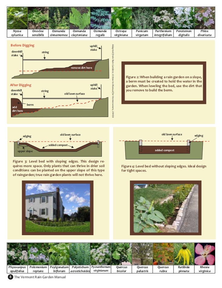 Vermont Rain Garden Manual