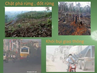 Chặt phá rừng , đốt rừng
Khói bụi giao thông
 