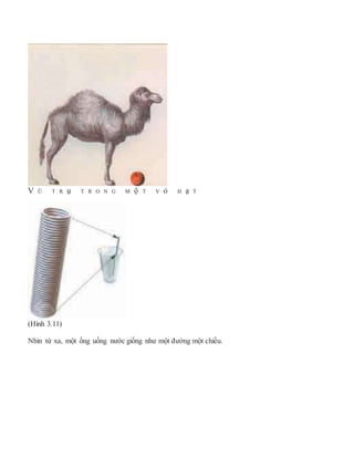 V Ũ T R ụ T R O N G M ộ T V ỏ H ạ T
(Hình 3.11)
Nhìn từ xa, một ống uống nước giống như một đường một chiều.
 