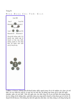 Trang 56
H Ì N H D Á N G C ủ A T H ờ I G I A N
Collider) ở Geneva. Nhưng điều đã thuyết phục nhiều người trong đó có tôi nghiêm túc chọn các mô
hình với các chiều bố sung là có một mớ các mối liên hệ không ngờ được gọi là tính đối ngẫu
(duality) giữa các mô hình. Tính đối ngẫu này cho thấy rằng tất cả các mô hình đều tương đương;
tức là, chúng chỉ là những khía cạnh khác nhau của cùng một lý thuyết cơ bản được gọi với cáitên là
thuyết-M (M-theory). Nếu không lấy tính đối ngẫu làm dấu hiệu cho thấy chúng ta đi đúng hướng thì
Loại IIB
Loại I Loại IIA
Heterotic-O Heterotic-E
Loại IIB
Loại I Loại IIA
Heterotic-O Heterotic-E
Thuyết-M thống nhất 5 lý
thuyết dây thành một lý
thuyết cơ bản duy nhất,
nhưng người ta vẫn chưa
hiểu rất nhiều tính chất
của lý thuyết này.
 