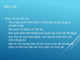 • Khâu nối chi đứt lìa
– Thực hiện dưới kính hiển vi, kính lúp và các dụng cụ
chuyên dụng
– Bảo quản tất phần chi đứt lìa
– Rửa sạch phần đứt bằng nước muối hay nước sôi để nguội
– Gạc hay vải sạch bao ngoài, cho vào túi nilon kín, cột
chặt miệng túi.
– Đặt túi vào thùng hoặc túi lớn chứa nước đá (không để
phần chi đứt lìa tiếp xúc trực tiếp với nước đá.
ĐIỀU TRỊ
 