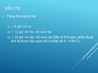 • Thông thường tối đa
ĐIỀU TRỊ
 < 8 giờ với cơ
 < 12 giờ với da, mô dưới da
 < 24 giờ với da, mô dưới da (Đây là thời gian phãu thuật
đứt lìa được bảo quản tốt ở nhiệt độ 0 - 4 độ C).
 