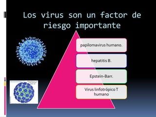 Los virus son un factor de
riesgo importante
papilomavirus humano.
hepatitis B.
Epstein-Barr.
Virus linfotrópicoT
humano
 