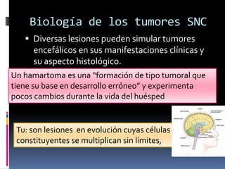 Biología de los tumores SNC
 Diversas lesiones pueden simular tumores
encefálicos en sus manifestaciones clínicas y
su aspecto histológico.
Un hamartoma es una “formación de tipo tumoral que
tiene su base en desarrollo erróneo” y experimenta
pocos cambios durante la vida del huésped
Tu: son lesiones en evolución cuyas células
constituyentes se multiplican sin límites,
 
