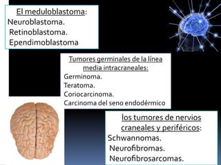El meduloblastoma:
Neuroblastoma.
Retinoblastoma.
Ependimoblastoma
Tumores germinales de la línea
media intracraneales:
Germinoma.
Teratoma.
Coriocarcinoma.
Carcinoma del seno endodérmico
los tumores de nervios
craneales y periféricos:
Schwannomas.
Neuroﬁbromas.
Neuroﬁbrosarcomas.
 
