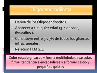 Oligodendroglioma
 Deriva de los Oligodendrocitos.
 Aparecer a cualquier edad (3-4 decada,
6y12años ).
 Constituye entre 5 y 7% de todos los gliomas
intracraneales.
 Relacion H:M 2:1.
Color rosado grisáceo y forma multilobular, avascular,
ﬁrme, tendencia a encapsularse y a formar calcio y
pequeños quistes
 