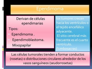 Ependimoma
Derivan de células
ependimarias
Tipos:
 Ependimoma .
 Ependimoblastoma.
 Mixopapilar
Las células tumorales tienden a formar conductos
(rosetas) o distribuciones circulares alrededor de los
vasos sanguíneos (seudorrosetas)
los tumores crecen
hacia los ventrículos o
el tejido encefálico
adyacente.
El sitio cerebral más
frecuente es el cuarto
ventrículo.
(lumbosacras)
 