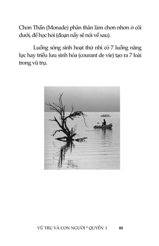  
 
VŨ TRỤ VÀ CON NGƯỜI * QUYỂN  I            80 
 
Chơn Thần (Monade) phân thân làm chơn nhơn ở cõi 
dưới, để học hỏi (đoạn nầy sẽ nói về sau). 
Luồng sóng sinh hoạt thứ nhì có 7 luồng năng 
lực hay triều lưu sinh hóa (courant de vie) tạo ra 7 loài 
trong vũ trụ. 
 
 