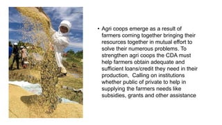 • Agri coops emerge as a result of
farmers coming together bringing their
resources together in mutual effort to
solve their numerous problems. To
strengthen agri coops the CDA must
help farmers obtain adequate and
sufficient loans/credit they need in their
production, Calling on institutions
whether public of private to help in
supplying the farmers needs like
subsidies, grants and other assistance
 