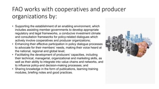 FAO works with cooperatives and producer
organizations by:
• Supporting the establishment of an enabling environment, which
includes assisting member governments to develop appropriate
regulatory and legal frameworks, a conducive investment climate
and consultation frameworks for policy-related dialogues which
actively involve cooperatives and producer organizations;
• Enhancing their effective participation in policy dialogue processes
to advocate for their members’ needs, making their voice heard at
the national, regional and global level;
• Facilitating the development of producers’ capacities, including
their technical, managerial, organizational and marketing skills, as
well as their ability to integrate into value chains and networks, and
to influence policy-and decision-making processes; and
• Sharing knowledge in the form of publications, learning training
modules, briefing notes and good practices.
 