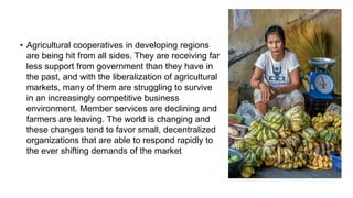 • Agricultural cooperatives in developing regions
are being hit from all sides. They are receiving far
less support from government than they have in
the past, and with the liberalization of agricultural
markets, many of them are struggling to survive
in an increasingly competitive business
environment. Member services are declining and
farmers are leaving. The world is changing and
these changes tend to favor small, decentralized
organizations that are able to respond rapidly to
the ever shifting demands of the market
 