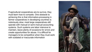 If agricultural cooperatives are to survive, they
must learn how to compete. One obstacle to
achieving this is that information-processing in
farmer cooperatives in developing countries is
notoriously slow; most large cooperatives still
operate with manual or semi-manual accounting
systems. Such systems are labor intensive to
maintain, leave plenty of occasions for errors and
create opportunities for abuse. It is difficult for
managers to be competitive when they must work
with outdated or inaccurate information
 