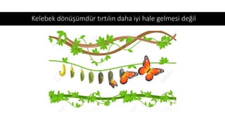 Kelebek dönüşümdür tırtılın daha iyi hale gelmesi değil
 
