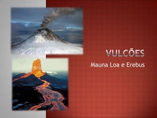 Mauna Loa e Erebus

 