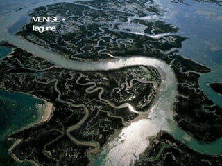VENISE - lagune 