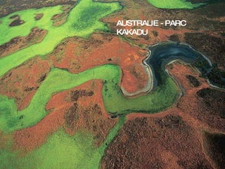 AUSTRALIE - PARC KAKADU 