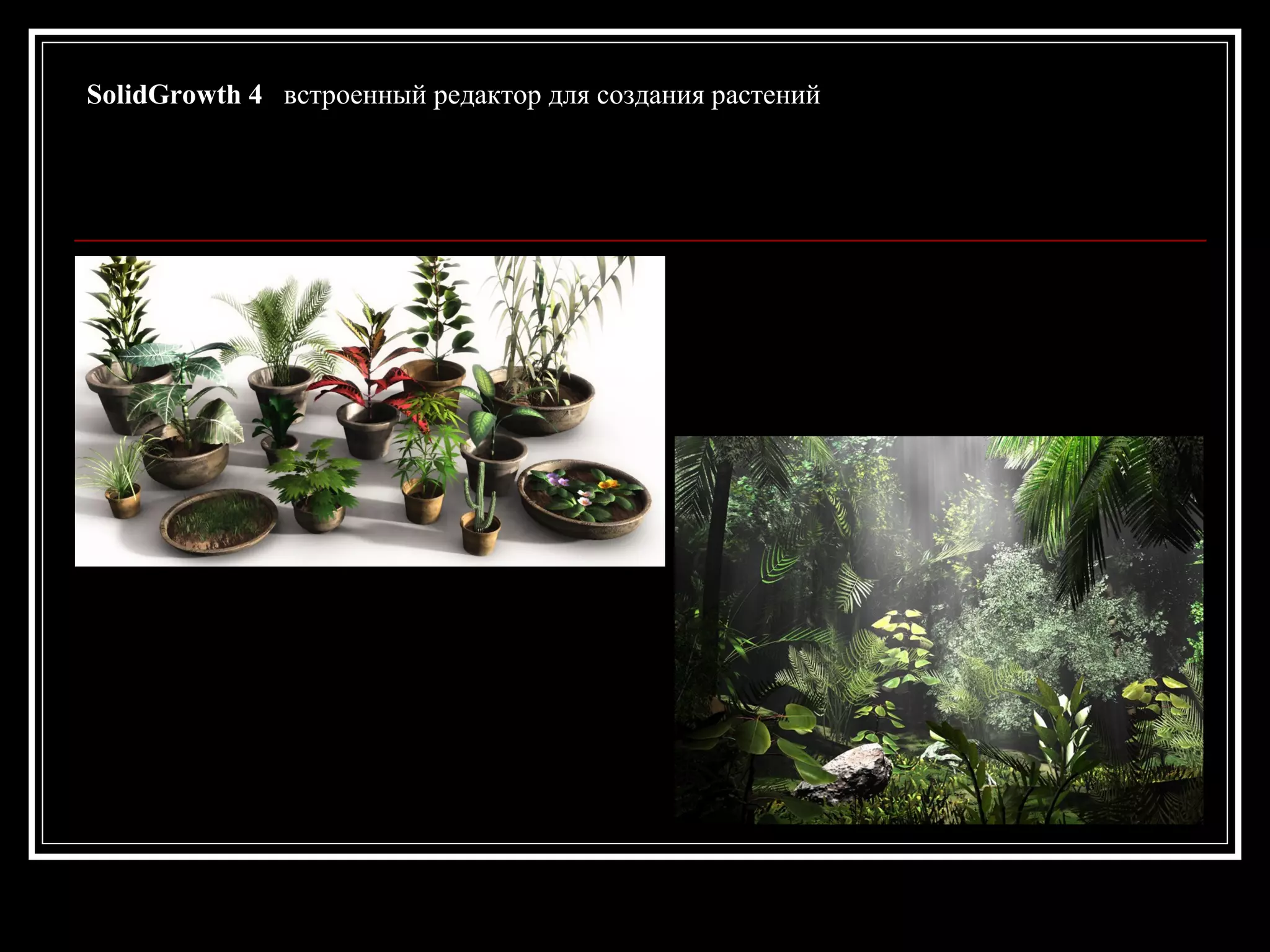 SolidGrowth 4 встроенный редактор для создания растений
 