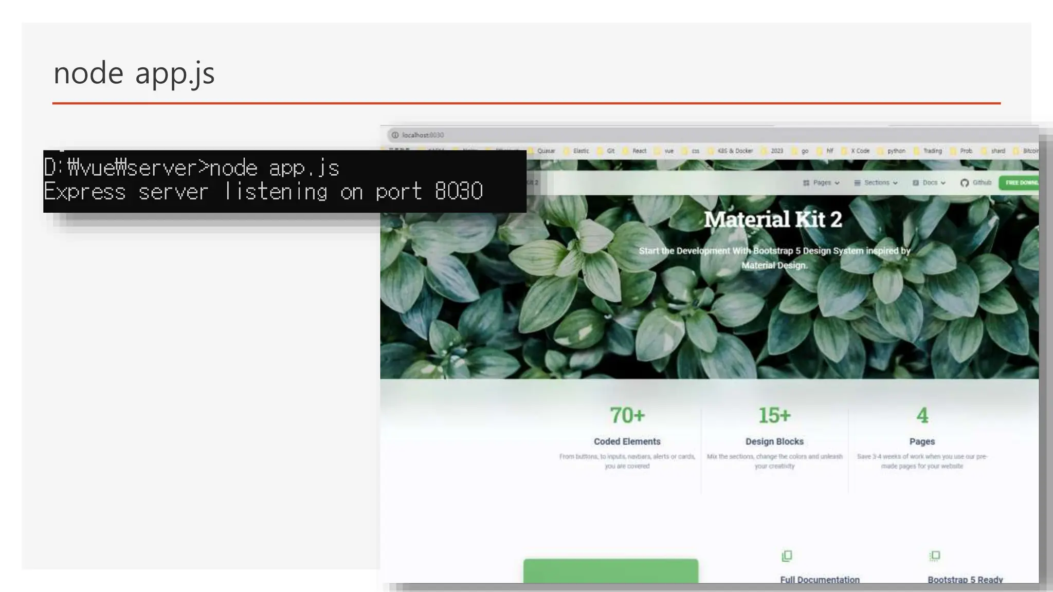 node app.js
 