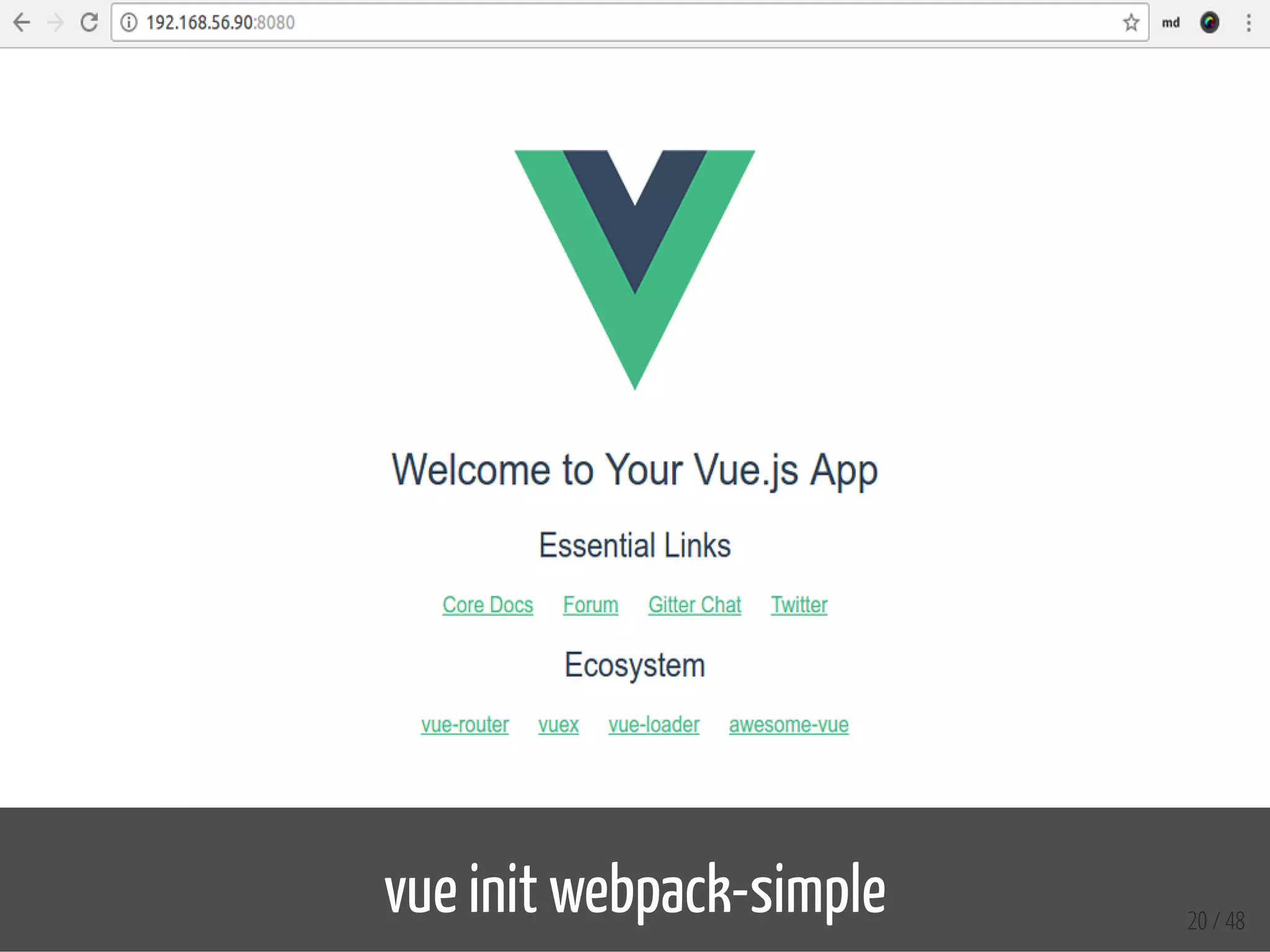 vue init webpack-simple 20 / 48
 